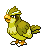 Pidgey