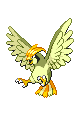 Pidgeotto