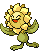 Sunflora