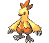 Combusken