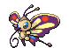 Beautifly