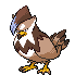 Staraptor