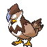 Staraptor