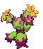 Maractus