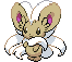 Cinccino