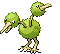 Doduo