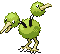 Doduo