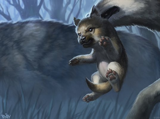 Banner image